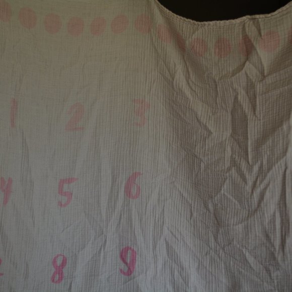 Cloud Island Pink Baby Monthly Milestones Photography Backdrop Muslin Blanket - Picture 3 of 7